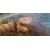 MOUNTAIN PASTURE WITH SHEEP - FRANCE - 19TH CENTURY