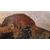 "BUFFALO HEADS" - OIL ON THICK CARDBOARD - GIUSEPPE RAGGIO (1823 - 1916)