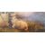 MOUNTAIN PASTURE WITH SHEEP - FRANCE - 19TH CENTURY