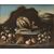 Italian School (XVII century) - Still Life - oil on canvas