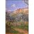 Olive Grove in Tuscan Landscape - Adolfo Tommasi (1851 - 1933)