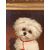 Italian painter (19th century) - Portrait of a Maltese dog.
