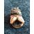 Netsuke’ in osso raffigurante conchiglie e molluschi marini.Giappone