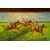 French painting with &quot;horse race&quot; - O / 5059     