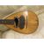 Antico mandolino napoletano acero e palissandro - fine 800 - firmato Bocciarelli