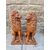 Bellissima coppia di Leoni in terracotta - H 73 cm