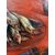 A. Vancoillie (xx) - Still life with sardine tray