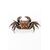 Articulated crab     