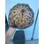 Lace and silk parasol umbrella cover.     