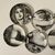 FORNASETTI, set of 16 Adamo Eva porcelain saucers     