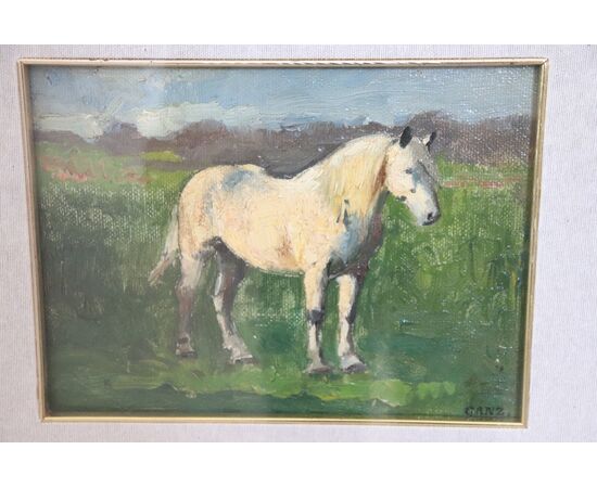 Dipinto olio su tavola Edwin Ganz, cavallo bianco prima metà sec XX PREZZO TRATTABILE