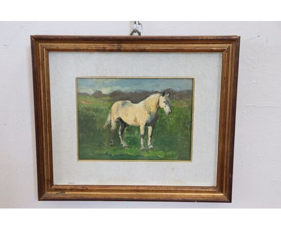 Dipinto olio su tavola Edwin Ganz, cavallo bianco prima metà sec XX PREZZO TRATTABILE