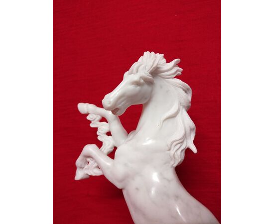 Spettacolare Cavallino rampante in marmo di Carrara - Venezia - H 27 cm