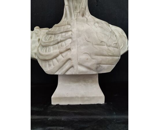 Magnifico Busto Anatomico Esoterico - Marmo di Carrara - H 70 cm - Venezia