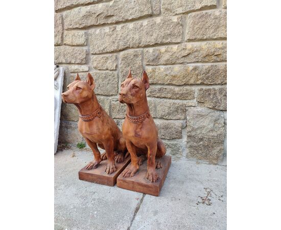 Bellissima coppia di Cani in terracotta - H 70 cm