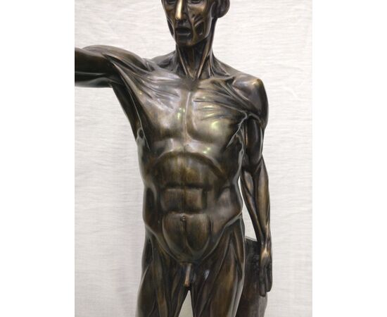Spettacolare Corpo Anatomico in Bronzo - H 78 cm - Francia - Periodo Déco