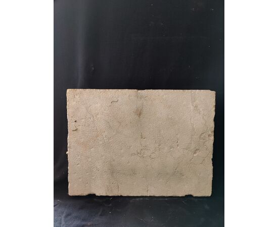 Altorilievo - Leone di S.Marco con il Libro - 75 X 57 cm - Marmo nembro giallo - Venezia