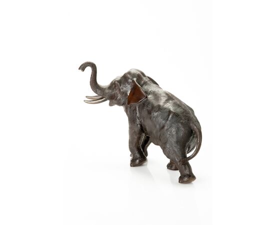 Seiya – Elefante bronzo