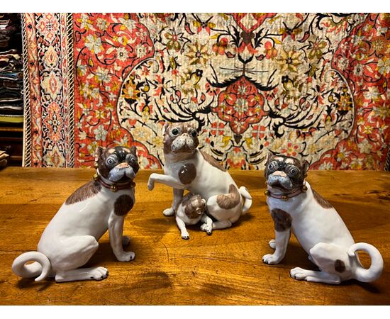Cani in porcellana, Dresda. 