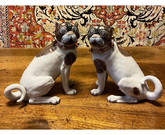 Cani in porcellana di Dresda. 