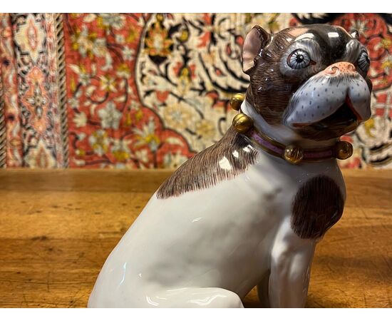 Cani in porcellana di Dresda. 