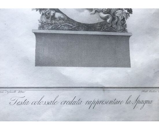 Incisione di Francesco Cecchini "Testa colossale creduta rappresentare la Spagna", XVIII - XIX secolo.