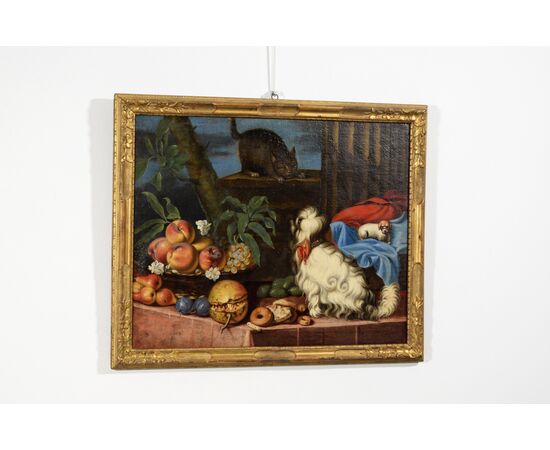 Natura morta con frutta, cani e un gatto, Italia, XVII secolo