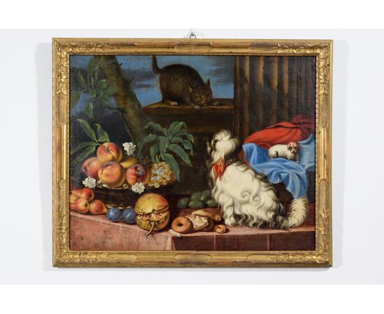 Natura morta con frutta, cani e un gatto, Italia, XVII secolo