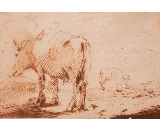 Attributed to Giovanni Francesco Barbieri known as Guercino, Shepherd with his cows, drawing in sanguine     