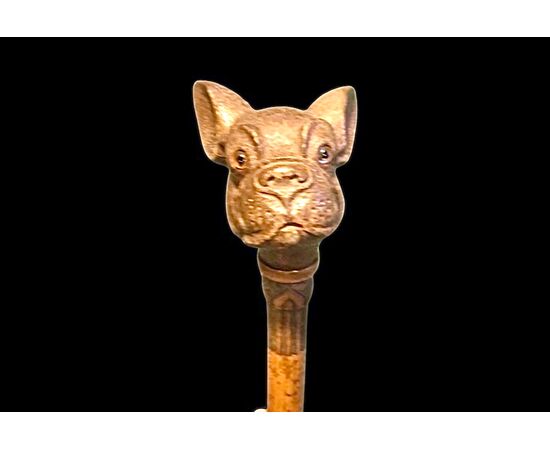 Bastone con pomolo in legno raffigurante la testa di un cane bulldog francese. Canna in malacca incisa.