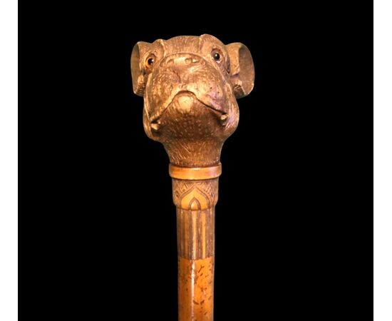 Bastone con pomolo in legno raffigurante la testa di un cane bulldog francese. Canna in malacca incisa.