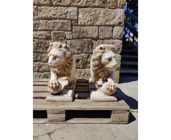 Magnifica coppia di leoni in marmo greco Thassos - H 50 cm - Venezia