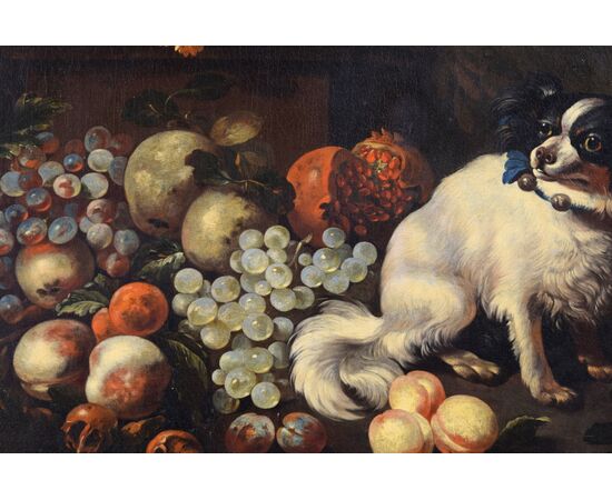 Ritratto di cane con composizione di frutta, pittore del XVII secolo, cornice in legno scolpito e dorato