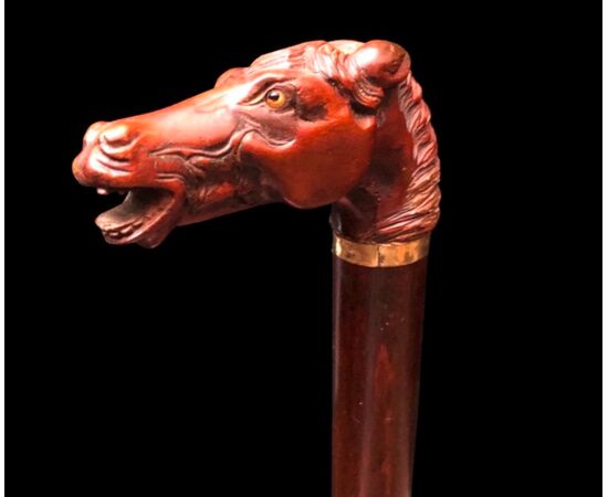 Bastone con pomolo in legno di bosso raffigurante testa di cavallo.