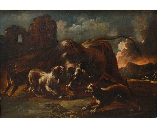 Giovanni Crivelli known as il Crivellino (? - 1760)  Fight between dogs and bison