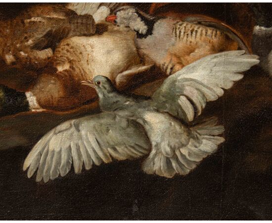 Still Life with Birds, Attr. Jacobus or Iacomo Victor (c. 1640 - 1705)     