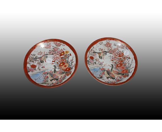 Coppia di piatti Cinesi in porcellana decorata con scena lacustre