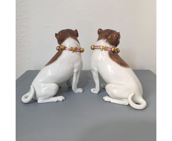 Bellissima coppia di cani in porcellana di Dresda