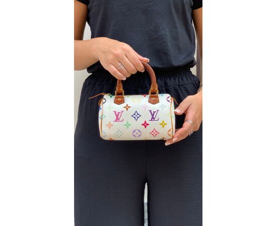 Louis Vuitton Speedy Mini HL Multicolor