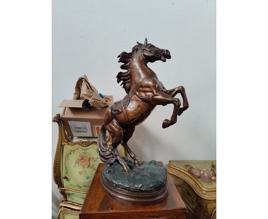 Magnifico cavallo rampante in bronzo - H 68 cm