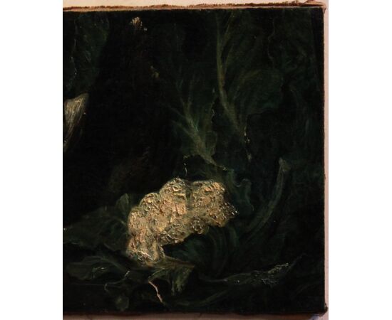 Comelli Dante 1880 - 1958 | Natura morta olio su tela
