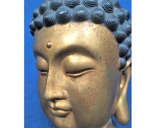 Testa di Buddha in ottone dorato - inizio XX sec.