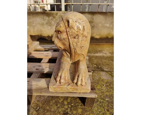 Maestosa coppia di leoni in marmo lumachella - 59 x H 33 cm