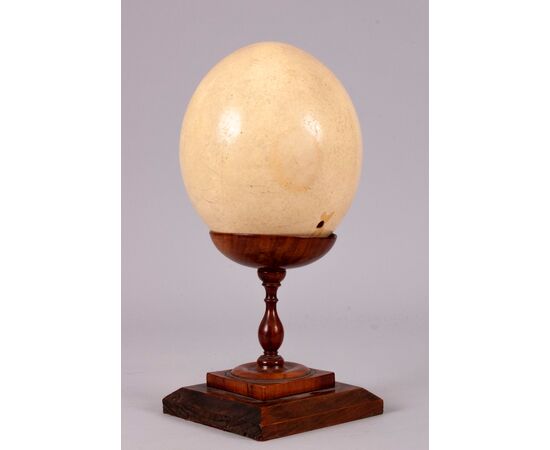 Uovo di struzzo su base di legno di ulivo