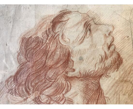 Studio di testa maschile, disegno a sanguigna su pergamena, fine XVII secolo