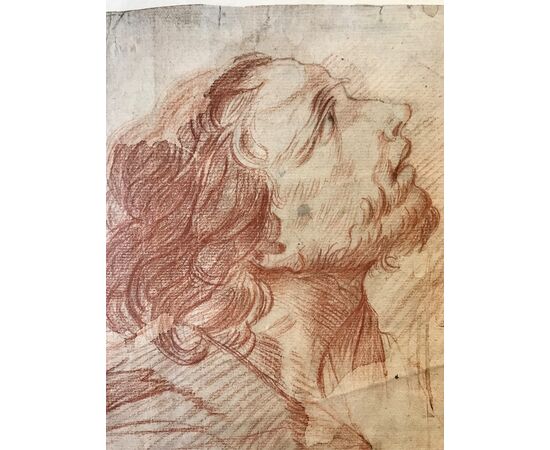 Studio di testa maschile, disegno a sanguigna su pergamena, fine XVII secolo