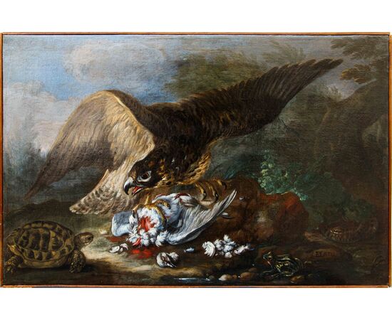 Baldassarre De Caro (Napoli, 1689 – 1750)  Rapace cattura un piccione, tartaruga, rana e serpente