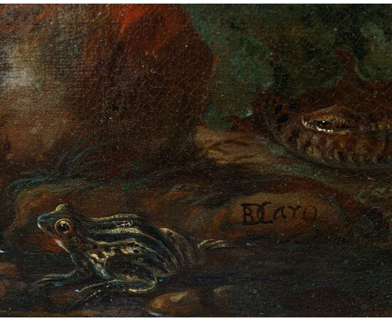Baldassarre De Caro (Napoli, 1689 – 1750)  Rapace cattura un piccione, tartaruga, rana e serpente