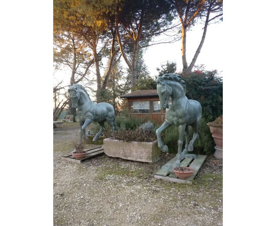 Magistrale coppia di Cavalli in bronzo - Altezza reale, scala 1:1
