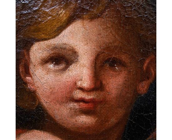 XVII secolo, Scuola emiliana, Putto con rosa